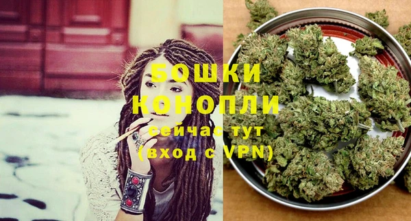 ПСИЛОЦИБИНОВЫЕ ГРИБЫ Кукмор